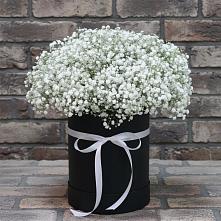 Цветочная композиция из Гипсофила в шляпной коробке #REPLACE_PRED# Якшур-Бодья