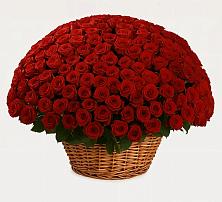 Премиум букет из: Розы в Якшур-Бодья